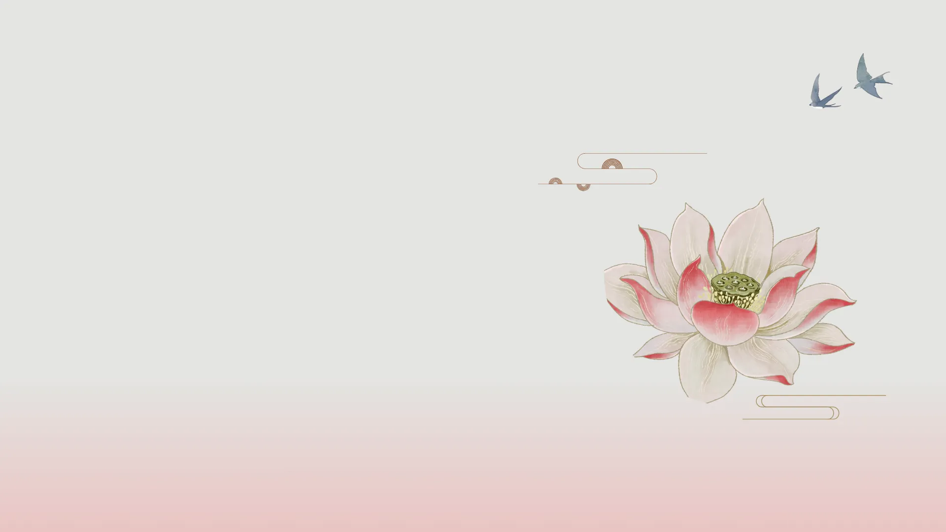 作品展示十二